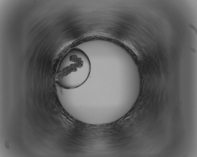 X0000092000872200709061238