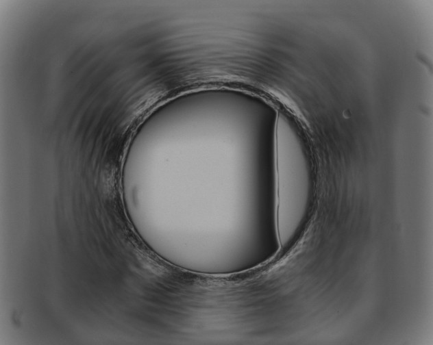 X0000092000873200709061238
