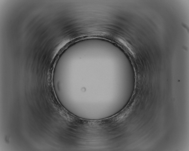 X0000092000875200709061238