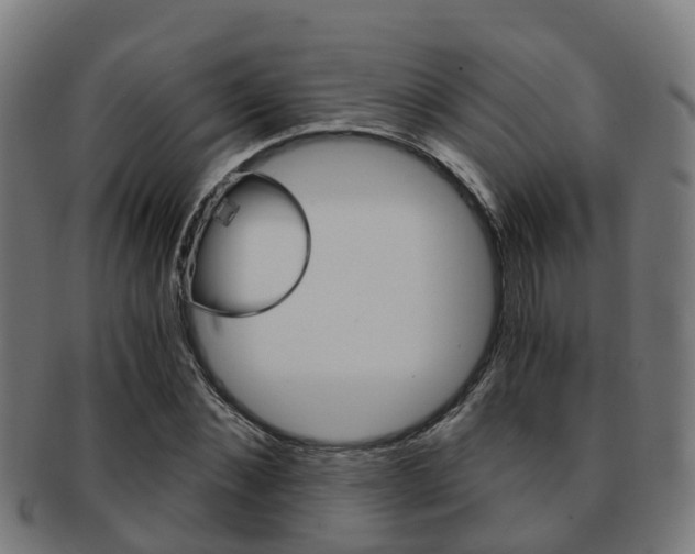 X0000092000876200709061238