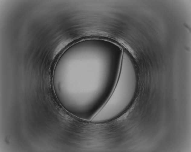 X0000092000877200709061238
