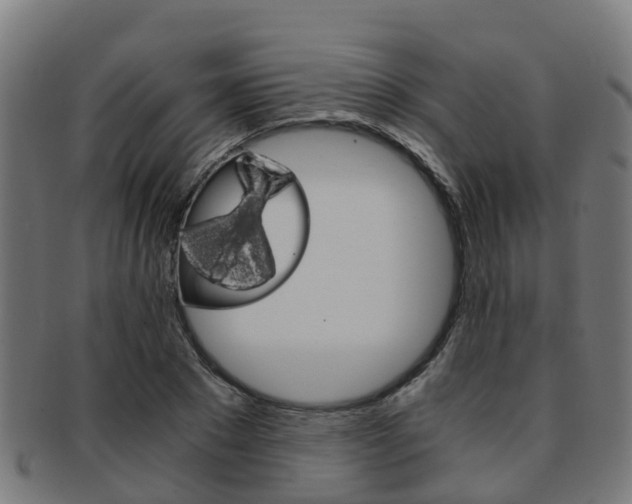 X0000092000881200709061238