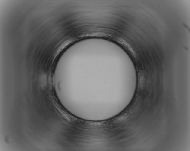 X0000092000882200709061238