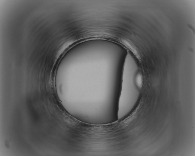 X0000092000883200709061238