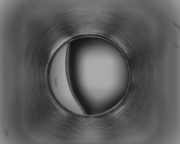 X0000092000885200709061238