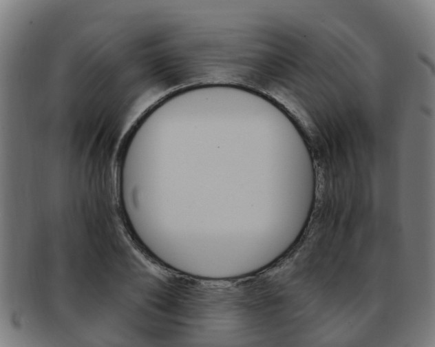 X0000092000886200709061238