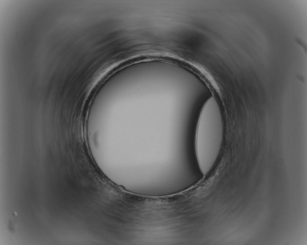 X0000092000887200709061238