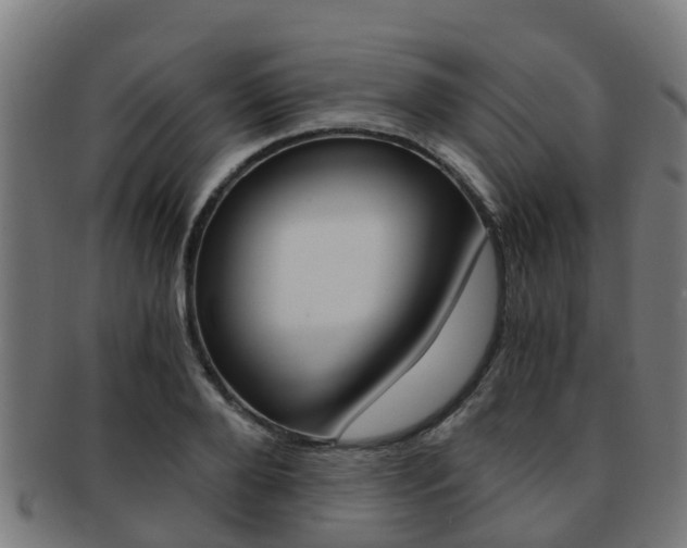 X0000092000888200709061238
