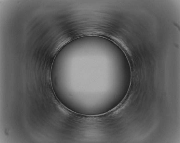 X0000092000889200709061238