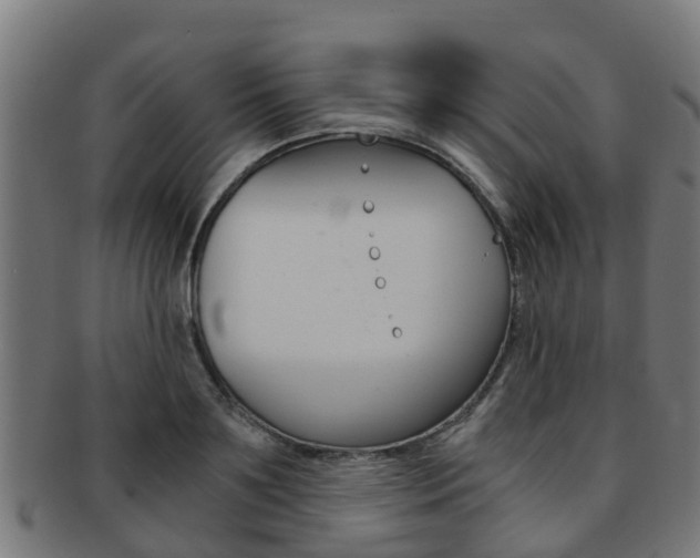 X0000092000891200709061238
