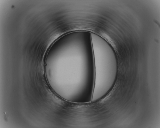 X0000092000892200709061238