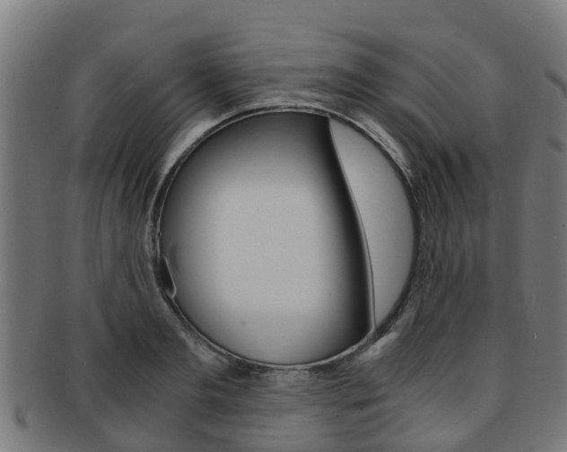 X0000092000893200709061238