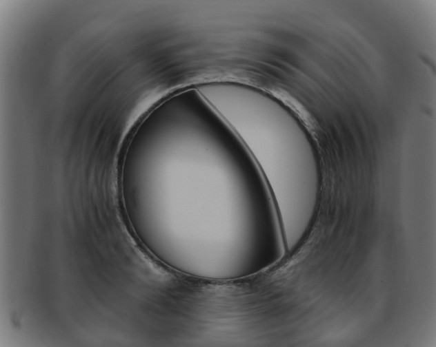X0000092000894200709061238
