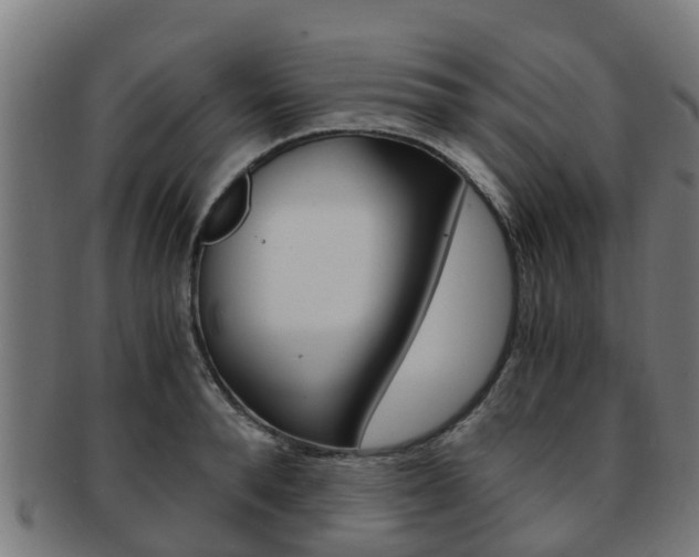 X0000092000896200709061238
