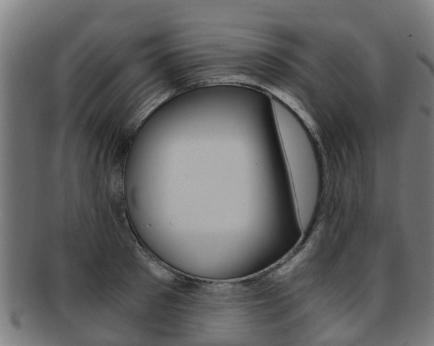 X0000092000897200709061238