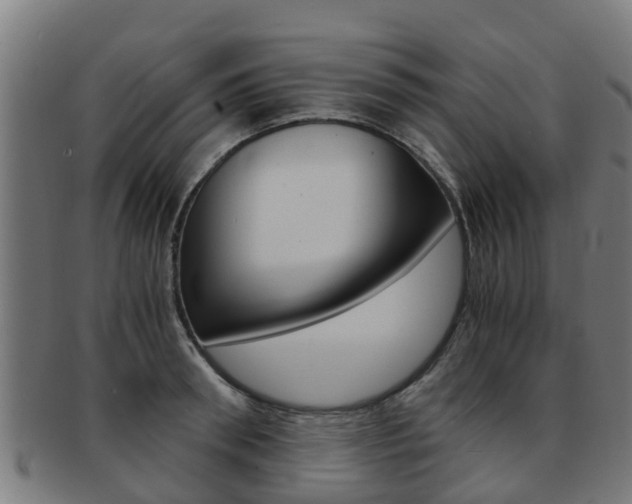 X0000092000898200709061238