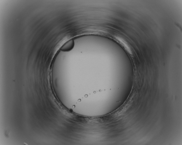 X0000092000899200709061238