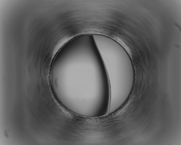 X0000092000901200709061238
