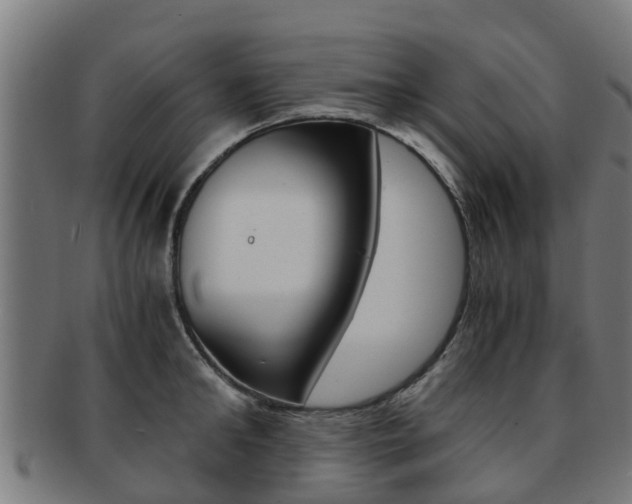 X0000092000902200709061238
