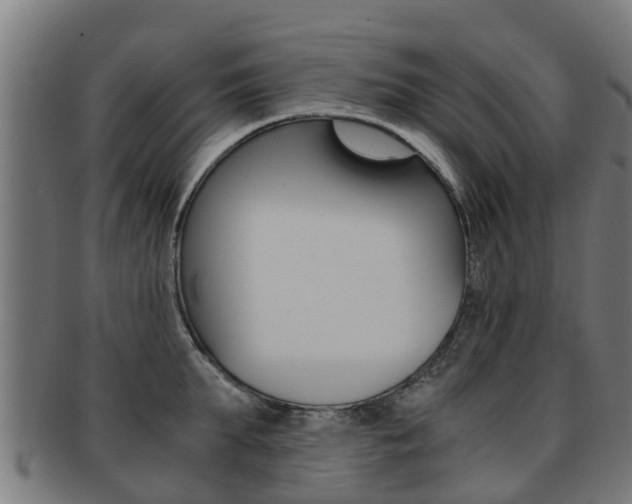X0000092000903200709061238