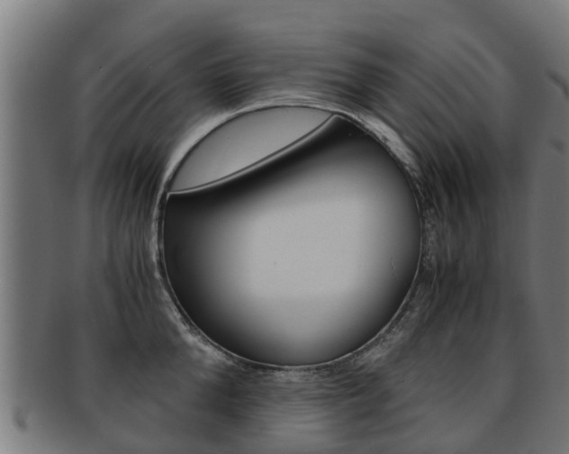 X0000092000904200709061238