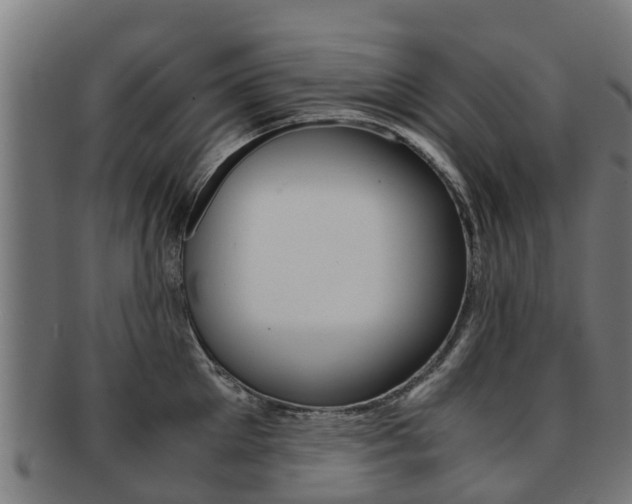 X0000092000905200709061238