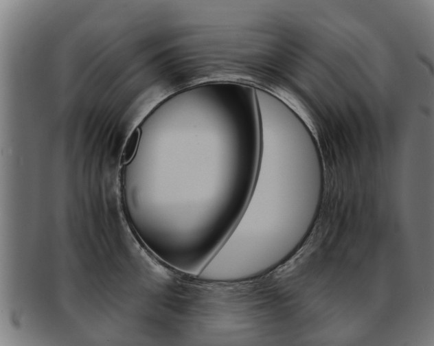 X0000092000906200709061238