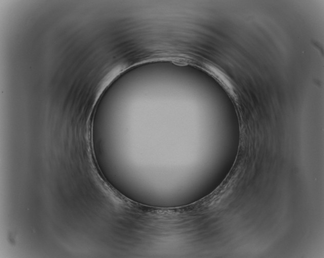 X0000092000907200709061238