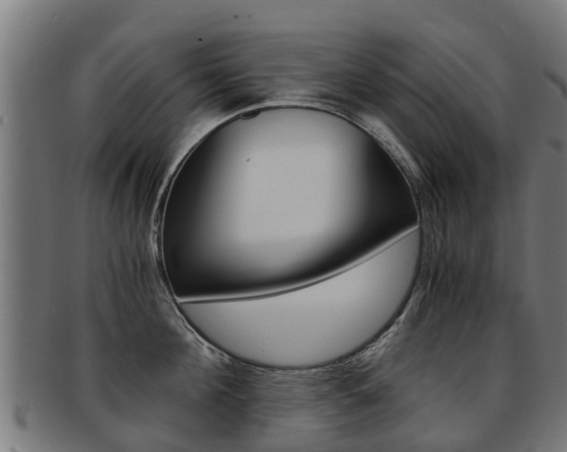 X0000092000908200709061238