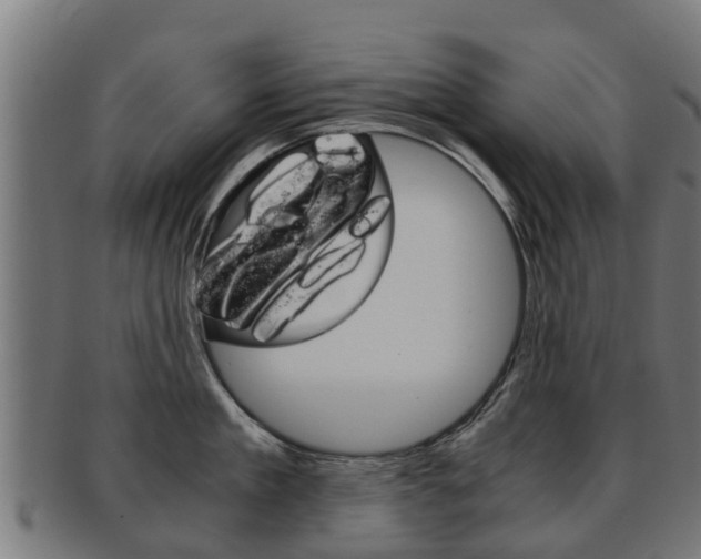 X0000092000909200709061238