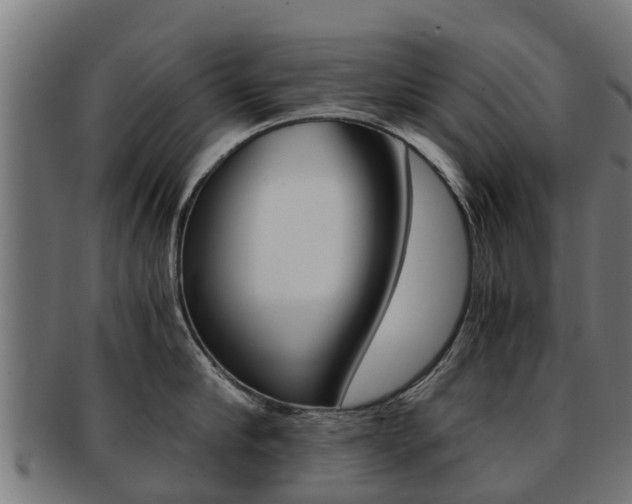 X0000092000910200709061238