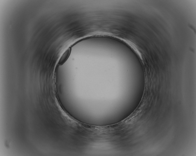 X0000092000911200709061238