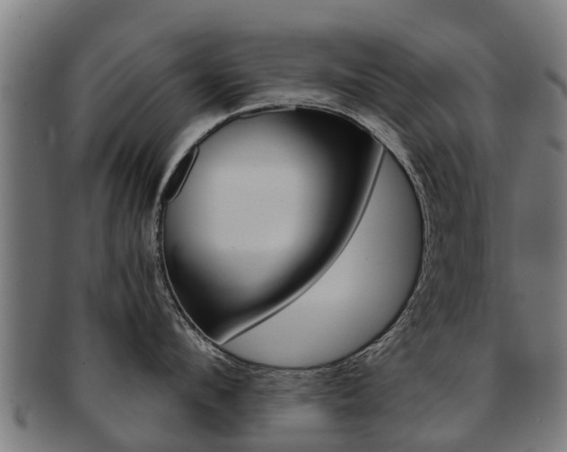 X0000092000912200709061238