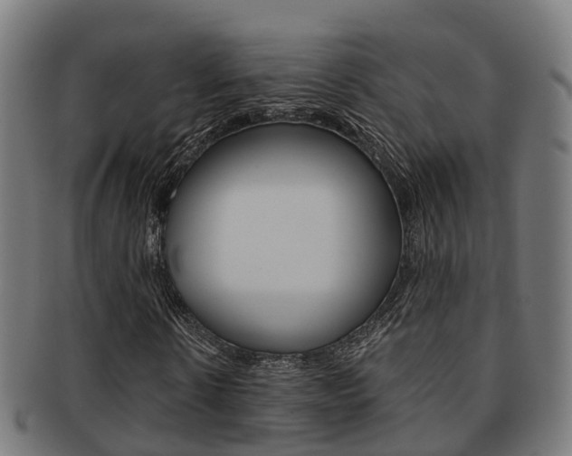 X0000092000914200709061237