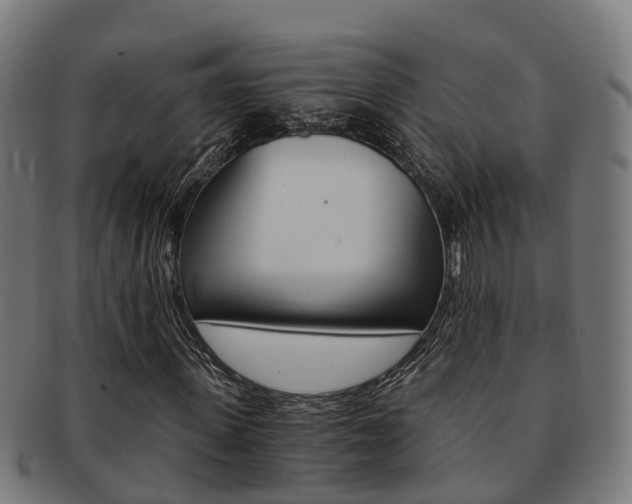 X0000092000915200709061237