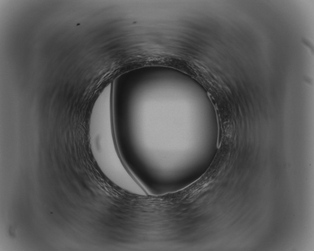 X0000092000916200709061237