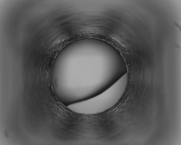 X0000092000917200709061237