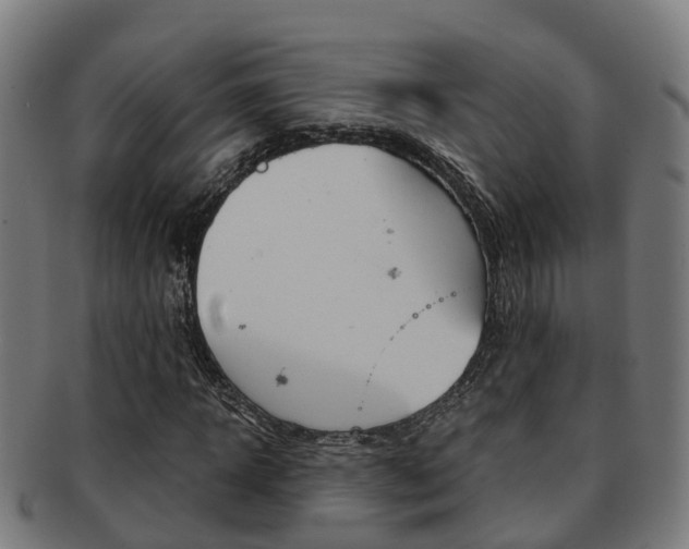 X0000092000918200709061237