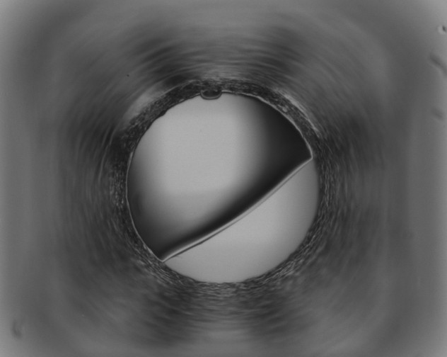 X0000092000919200709061237