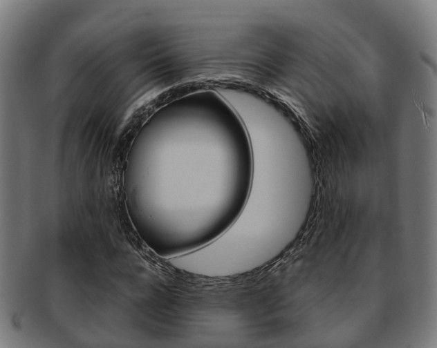 X0000092000920200709061237