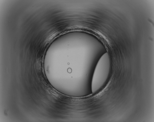 X0000092000921200709061237