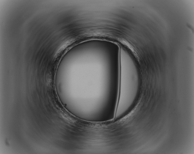X0000092000922200709061237