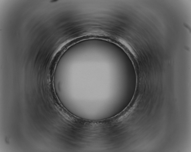 X0000092000923200709061237