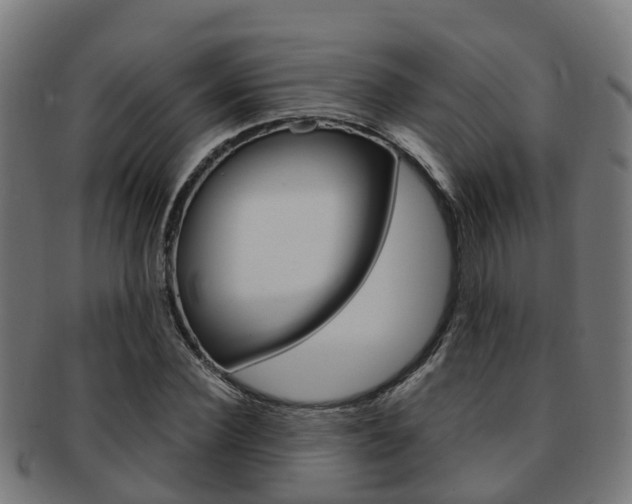 X0000092000924200709061237