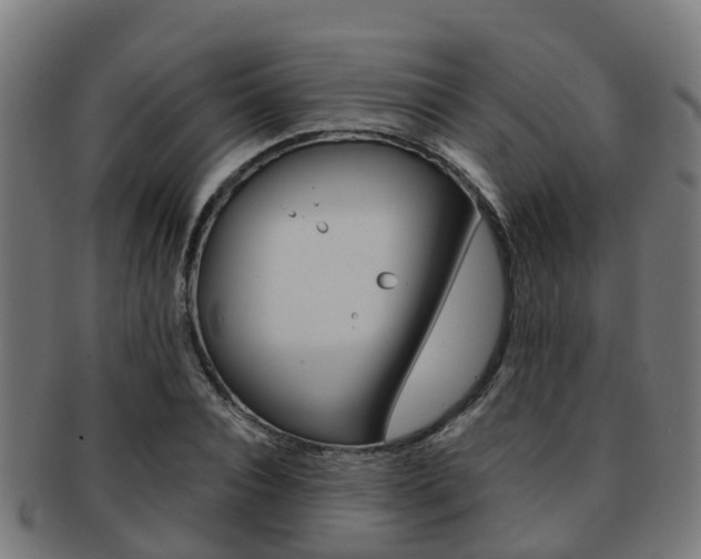 X0000092000928200709061237
