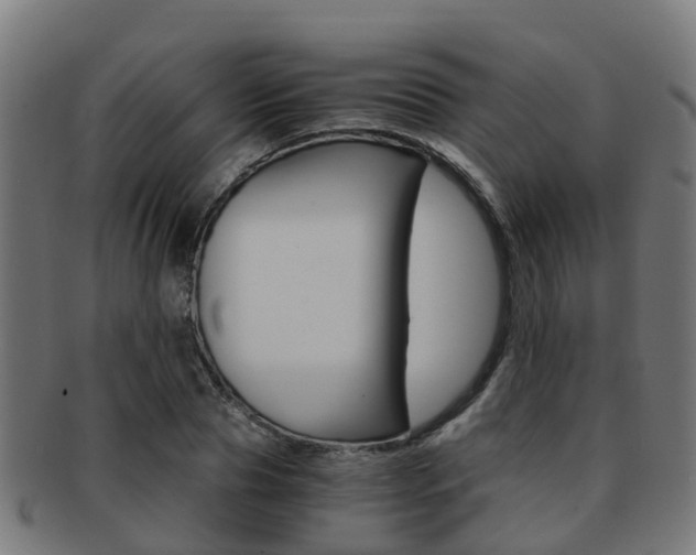 X0000092000929200709061237