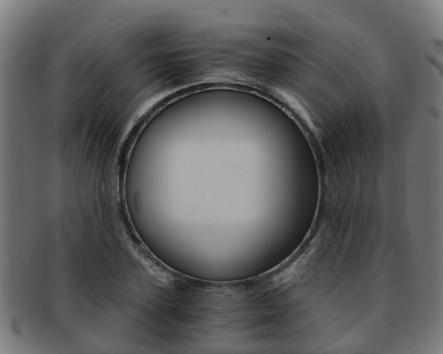 X0000092000931200709061237