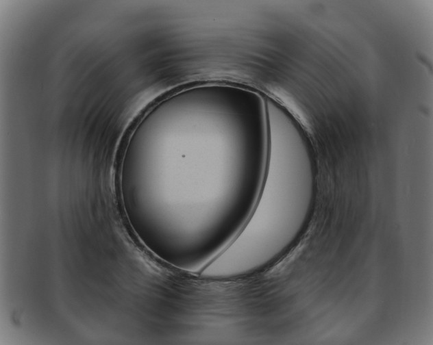 X0000092000932200709061237