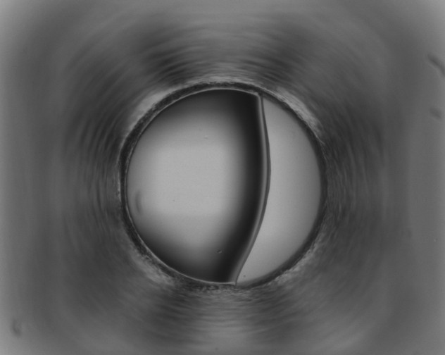 X0000092000934200709061237