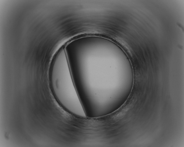 X0000092000935200709061237